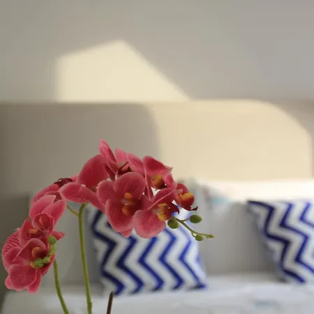 Apartamento Maraveiro House Aveiro